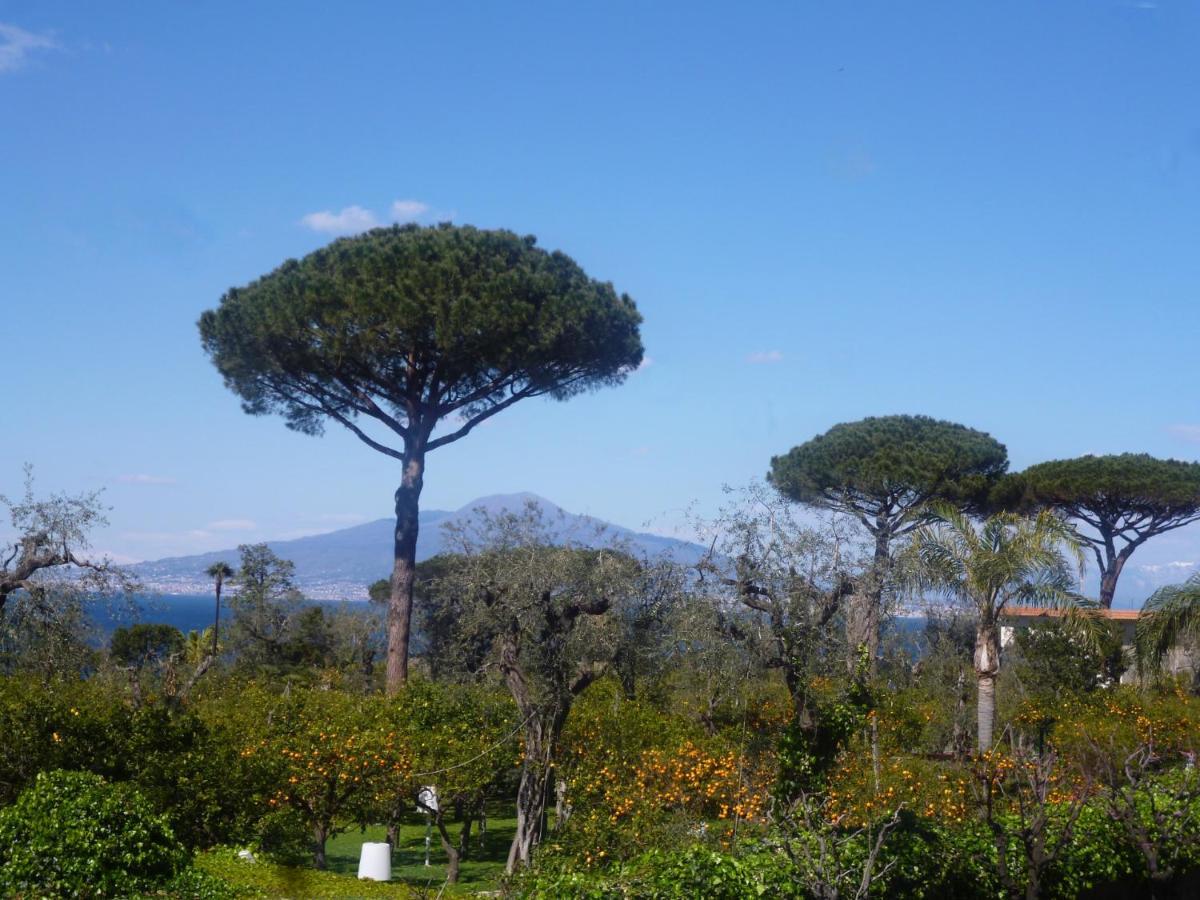 Angelina Suite B&B - Sorrento Centro Bagian luar foto